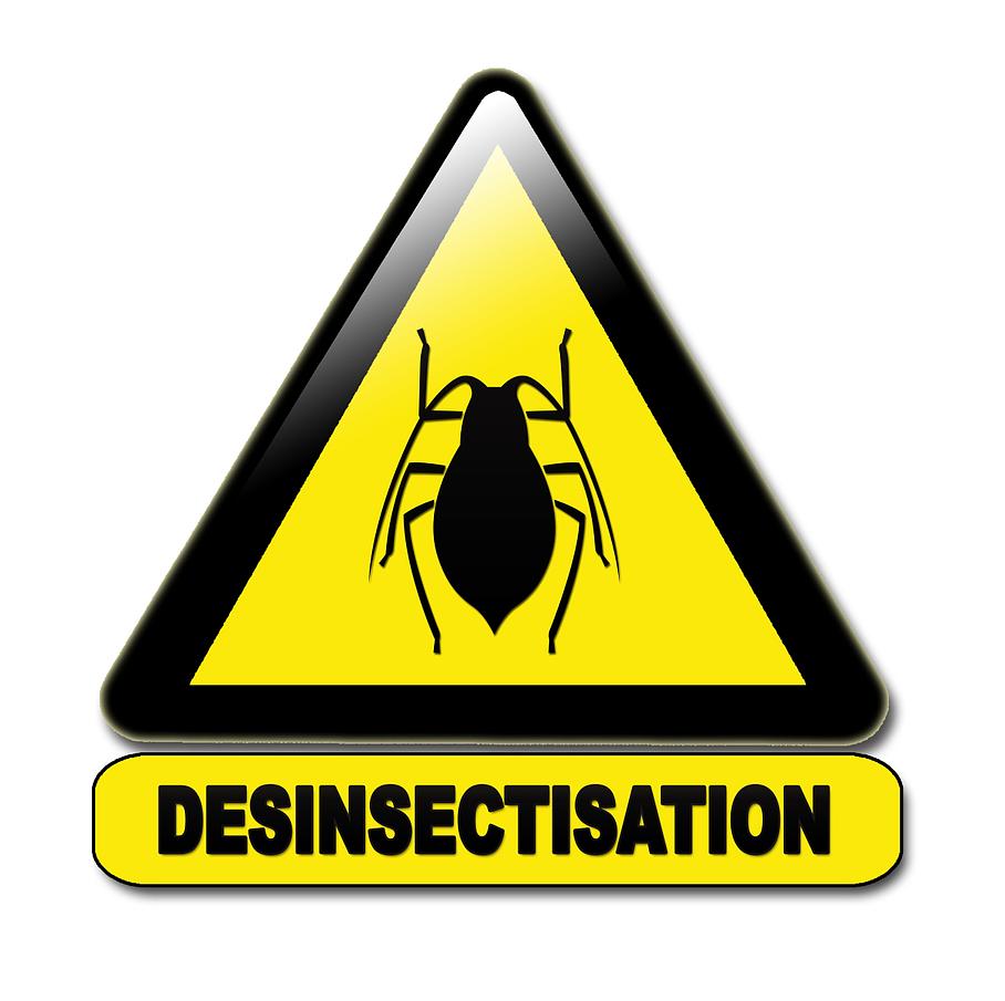 nuisance d'insectes volants en Corse