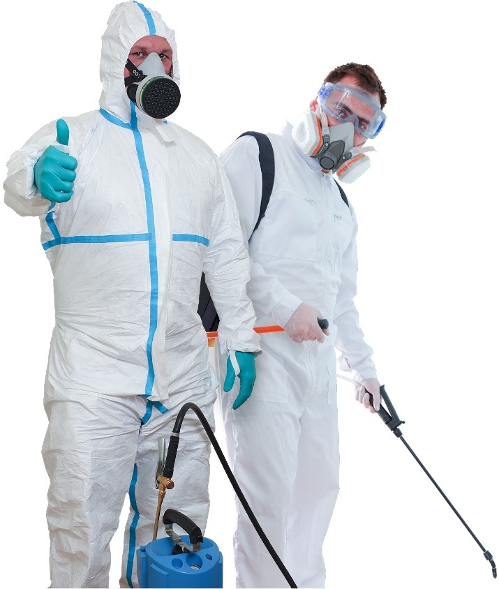 Travailleurs en tenue de protection